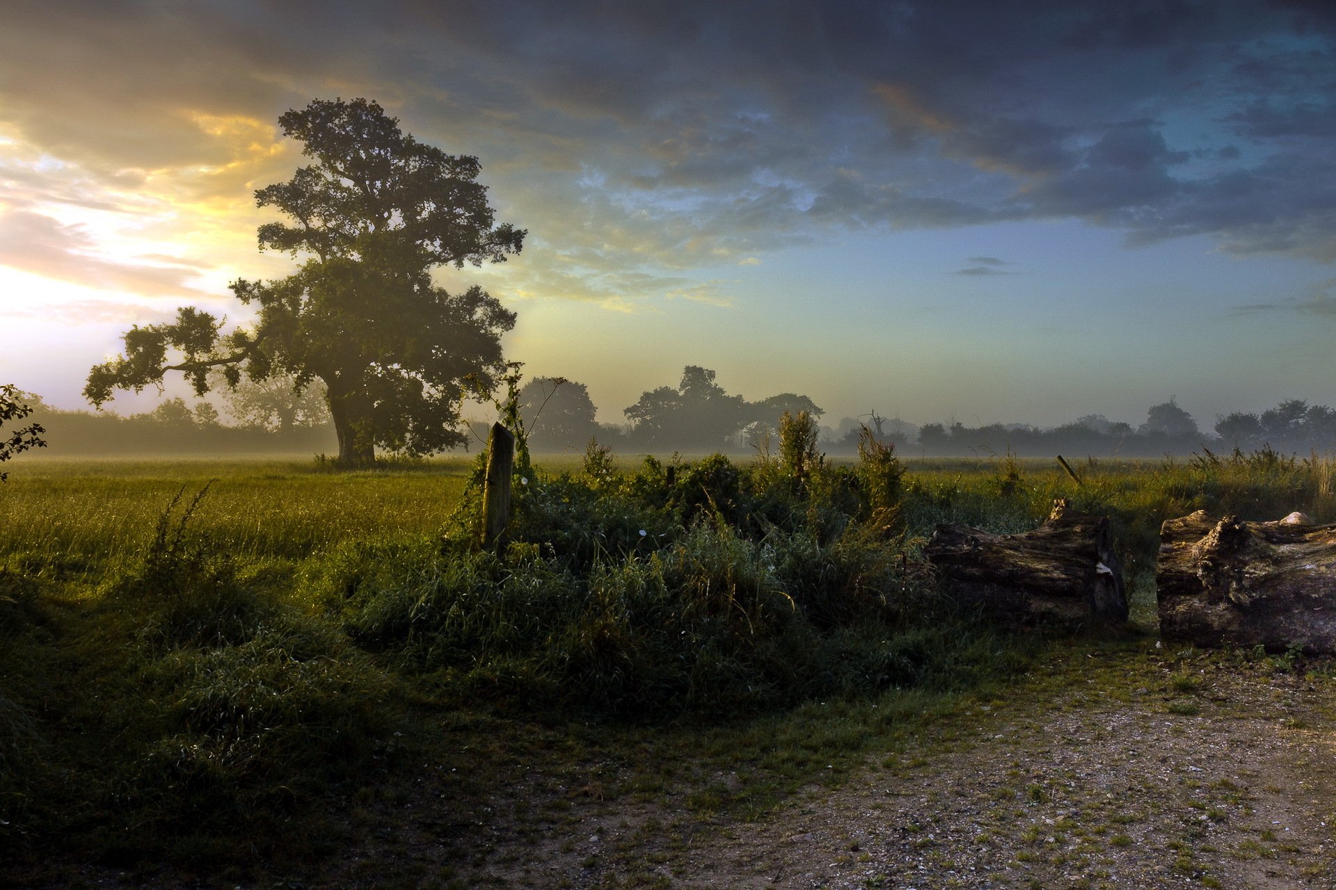 landscape, Nature, Beautiful, Area, Wild, Sky Wallpaper