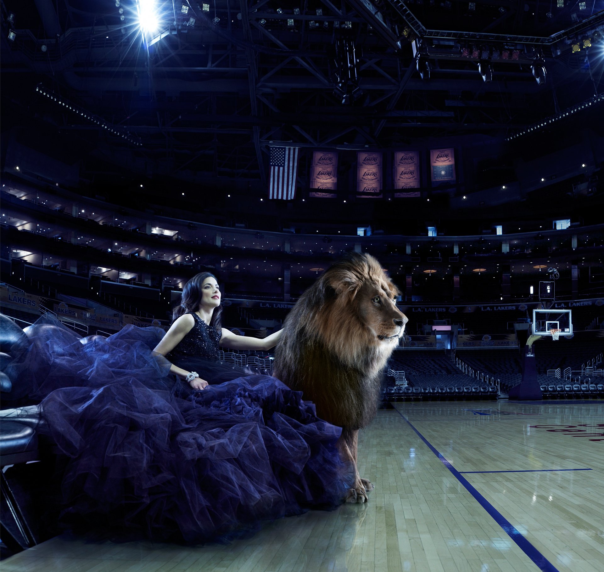 arena, Model, Brunette, Navy, Blue, Dress, Lion Wallpaper