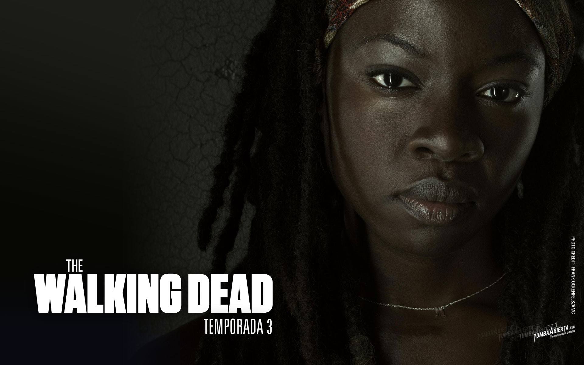 walking, Dead, Spanish, The, Walking, Dead, Tv, Shows, Michonne, Show ...