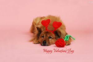 valentines, Day, Mood, Love, Holiday, Poster