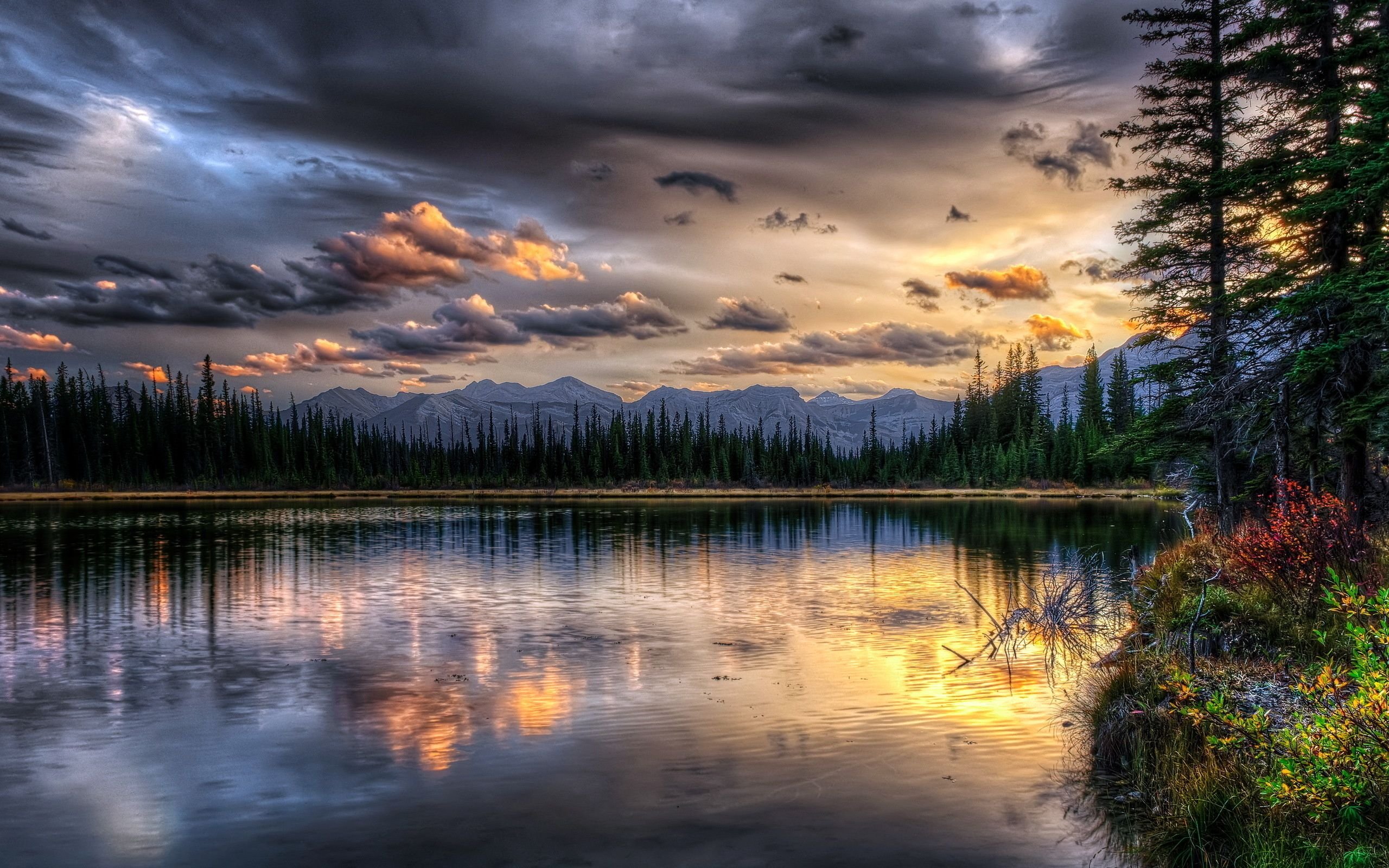 Landscape Nature Beautiful Forest Area Wild Sky Landscapes Landscape Nature Beautiful Forest Area Wild Sky Landscapes