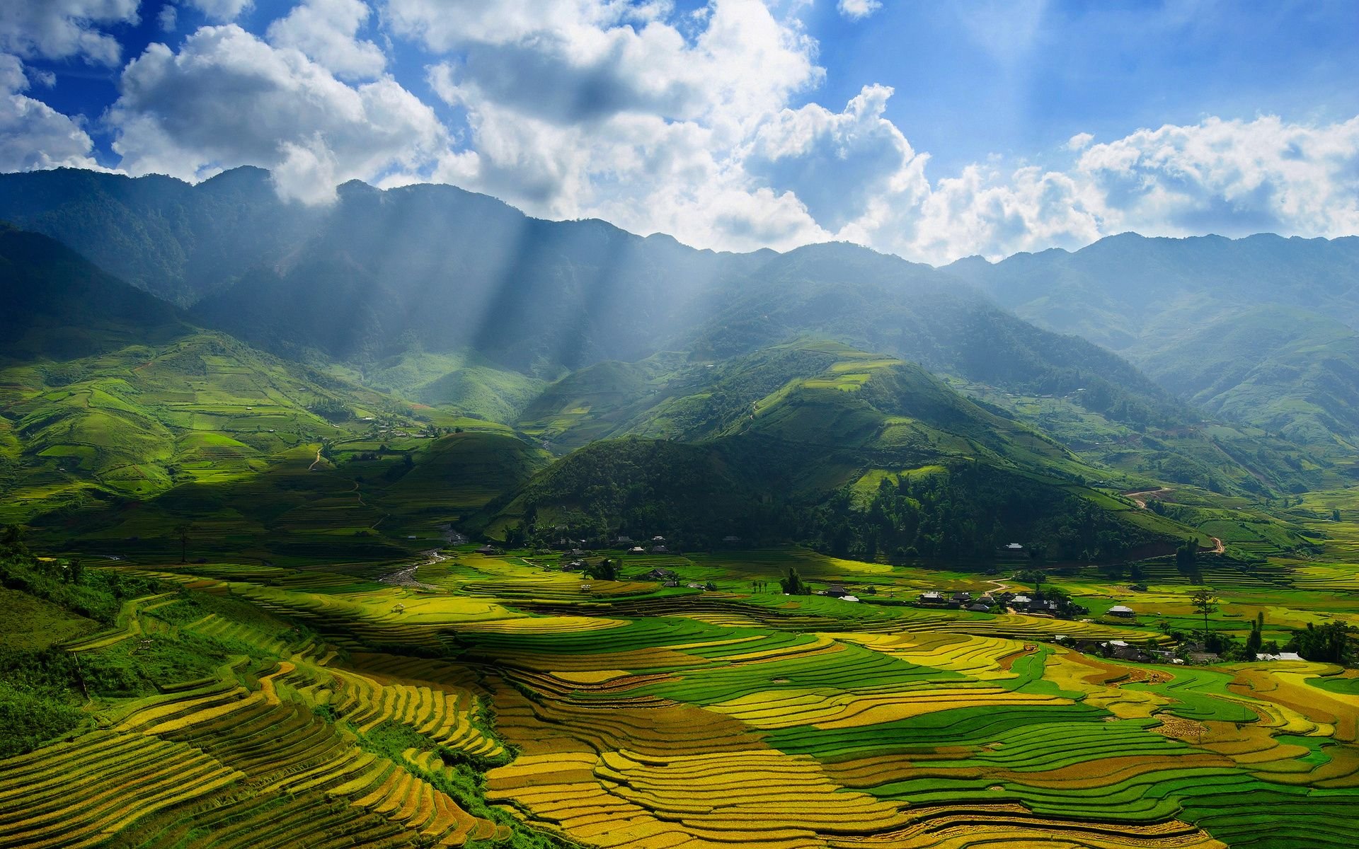 Landscape Nature Beautiful Forest Area Wild Sky Landscapes