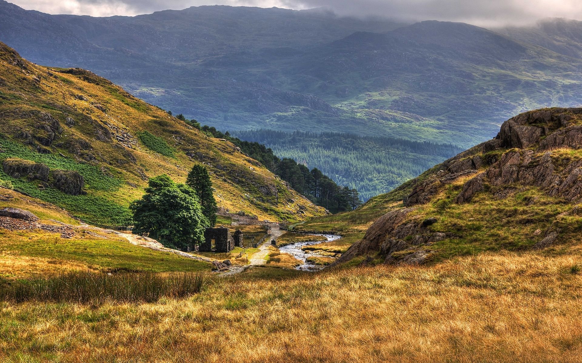 landscape, Nature, Beautiful, Forest, Area, Wild, Sky, Landscapes Wallpaper