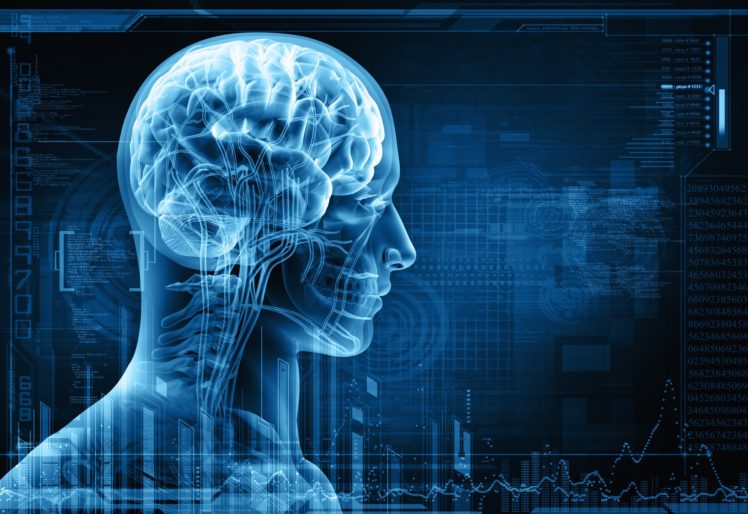 brain, Anatomy, Medical, Head, Skull, Digital, 3 d, X ray, Xray, Psychedelic HD Wallpaper Desktop Background