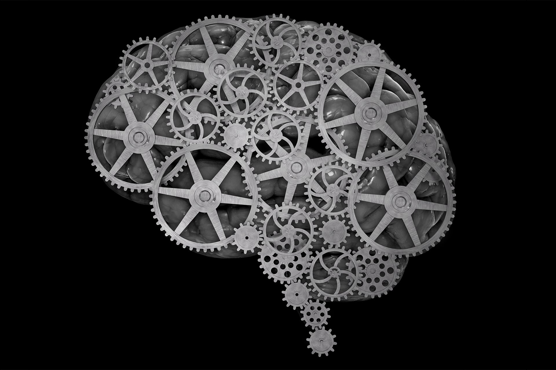 brain, Anatomy, Medical, Head, Skull, Gear, Gears, Psychedelic Wallpaper