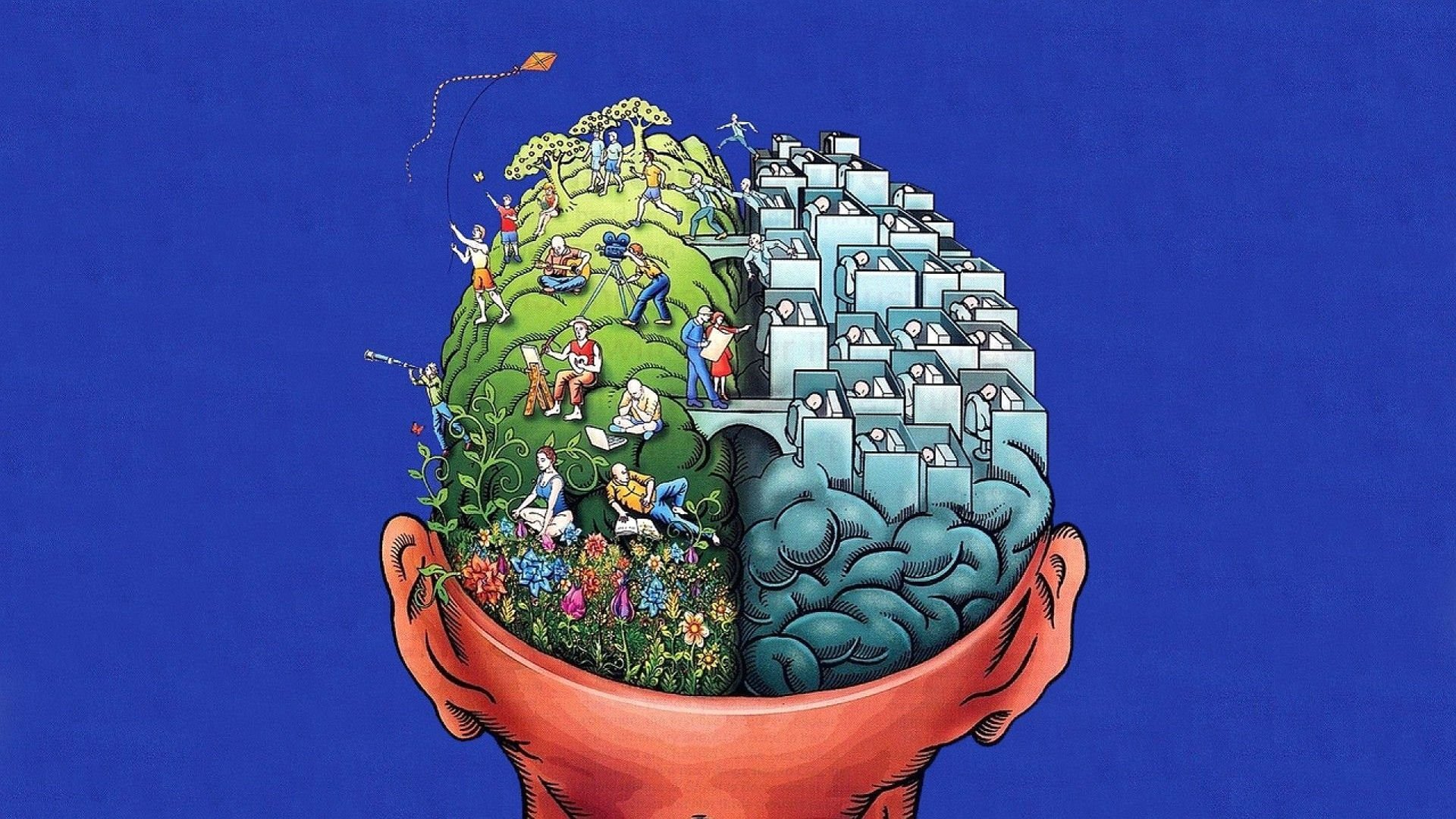 brain, Anatomy, Medical, Head, Skull, Psychedelic Wallpaper