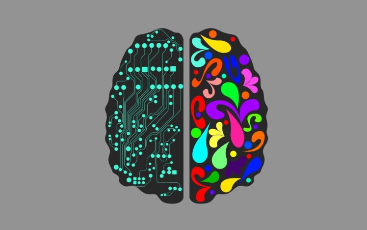 brain, Anatomy, Medical, Head, Skull, Psychedelic HD Wallpaper Desktop Background