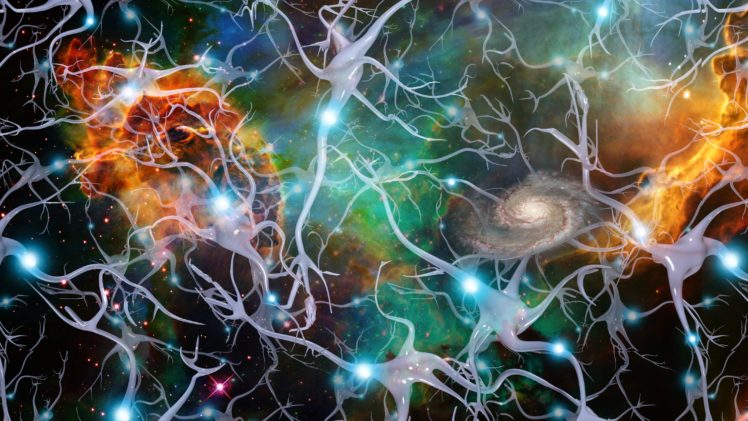 brain, Anatomy, Medical, Head, Skull, Digital, 3 d, X ray, Xray, Psychedelic, Space, Galaxy, Dream, Stars HD Wallpaper Desktop Background