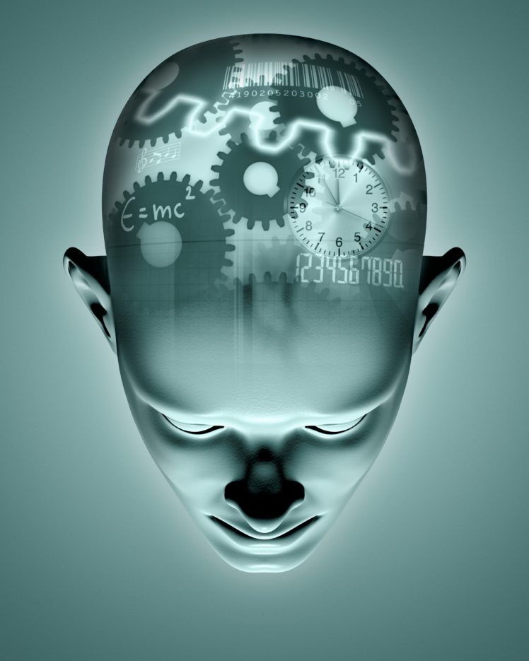 brain, Anatomy, Medical, Head, Skull, Digital, 3 d, X ray, Xray, Psychedelic, Gear, Gears HD Wallpaper Desktop Background