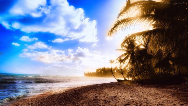ocean, Clouds, Beach, Sand, Trees, Tropical, Sunlight, Palm, Trees, Skyscapes HD Wallpaper Desktop Background