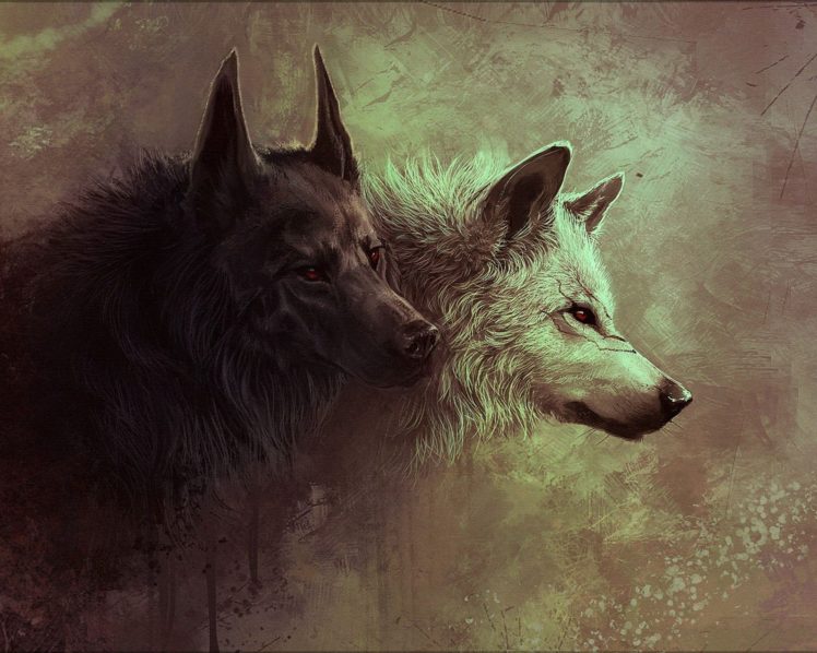 wolfs HD Wallpaper Desktop Background