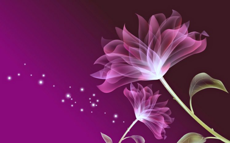flowers, Wallpaper, Pink, Love Wallpapers HD / Desktop and Mobile  Backgrounds