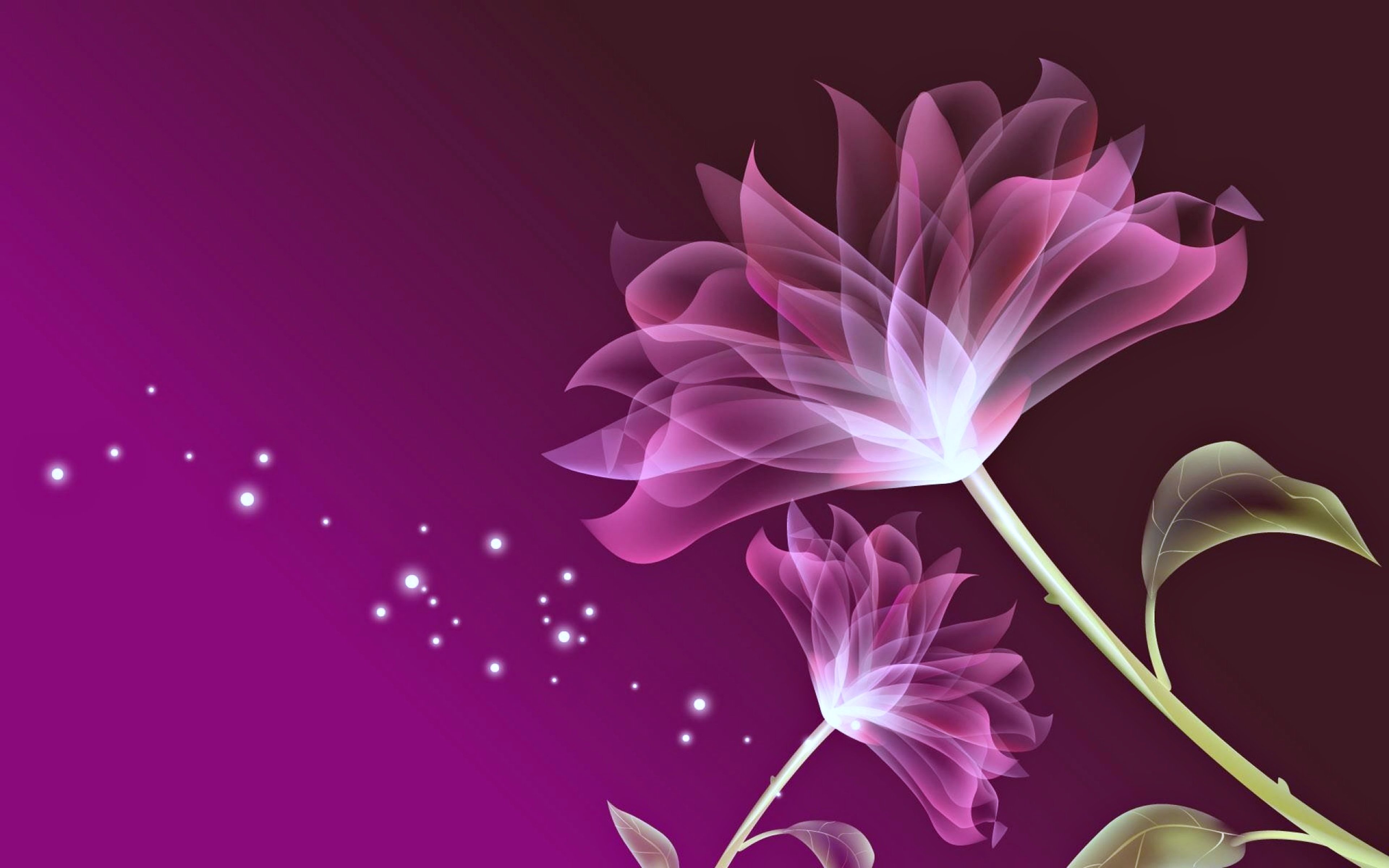flowers, Wallpaper, Pink, Love Wallpaper