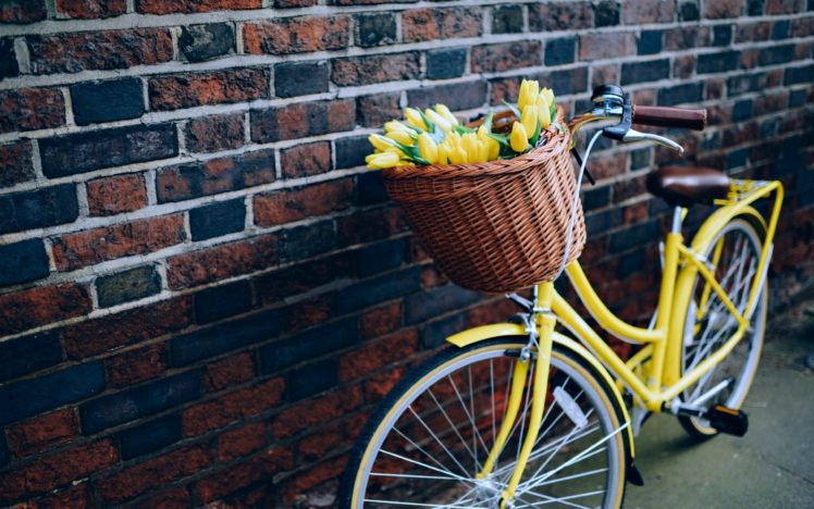 flowers, Bike, Yellow, Wall, Bicycle, Life, Love HD Wallpaper Desktop Background