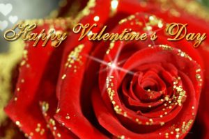 valentines, Day, Mood, Love, Holiday, Valentine, Rose, Roses, Flowers