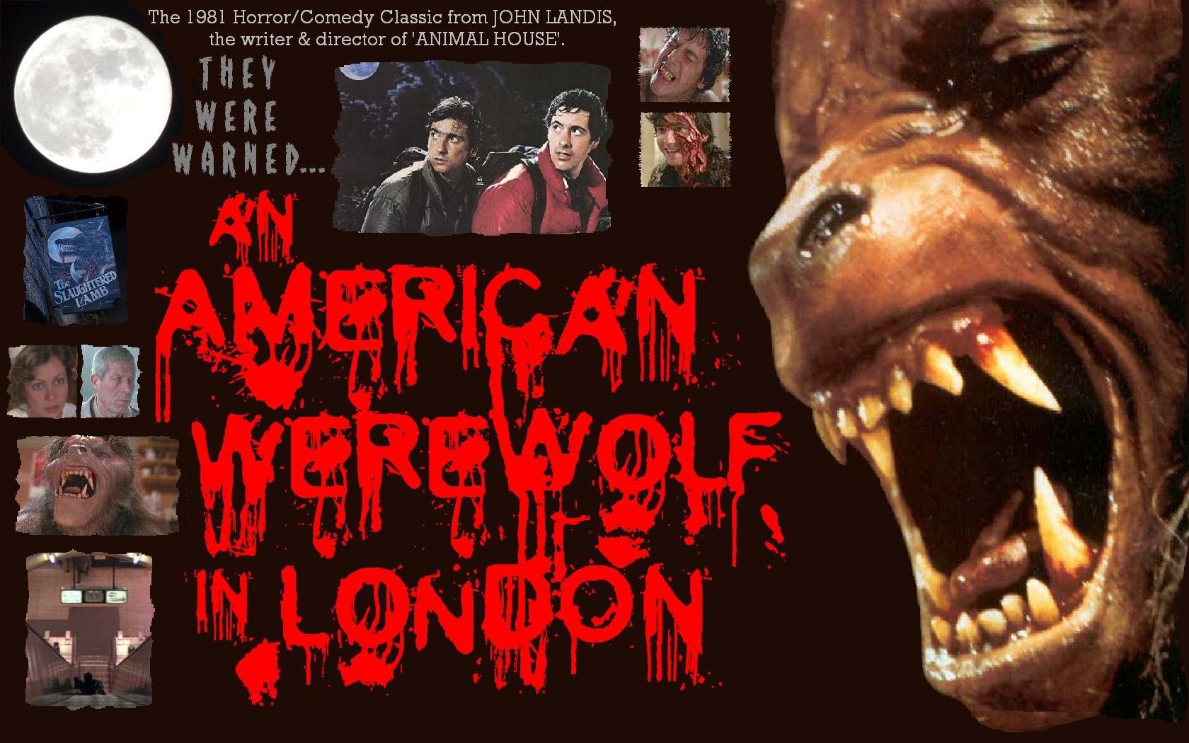 an, American, Werewolf, In, London Wallpaper