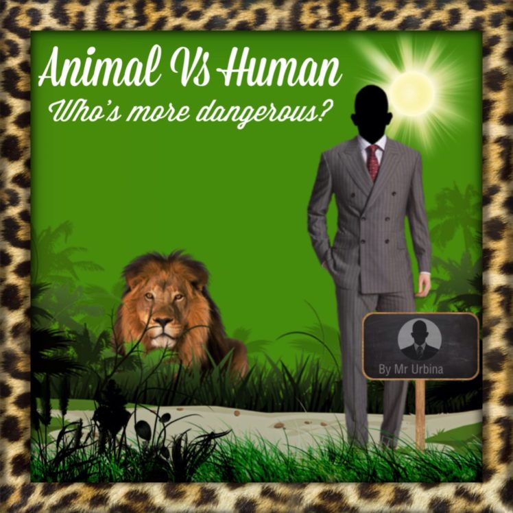 human, Animal, Lion, Africa, Sr, Men HD Wallpaper Desktop Background