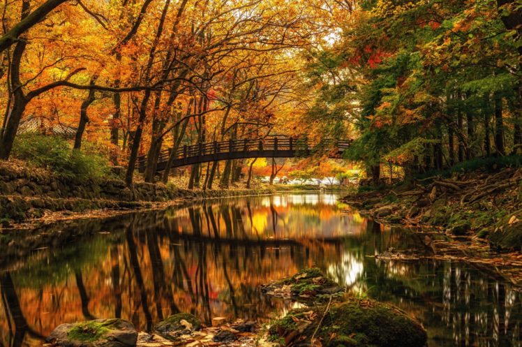 autumn, River, Bridge, Park, Trees HD Wallpaper Desktop Background