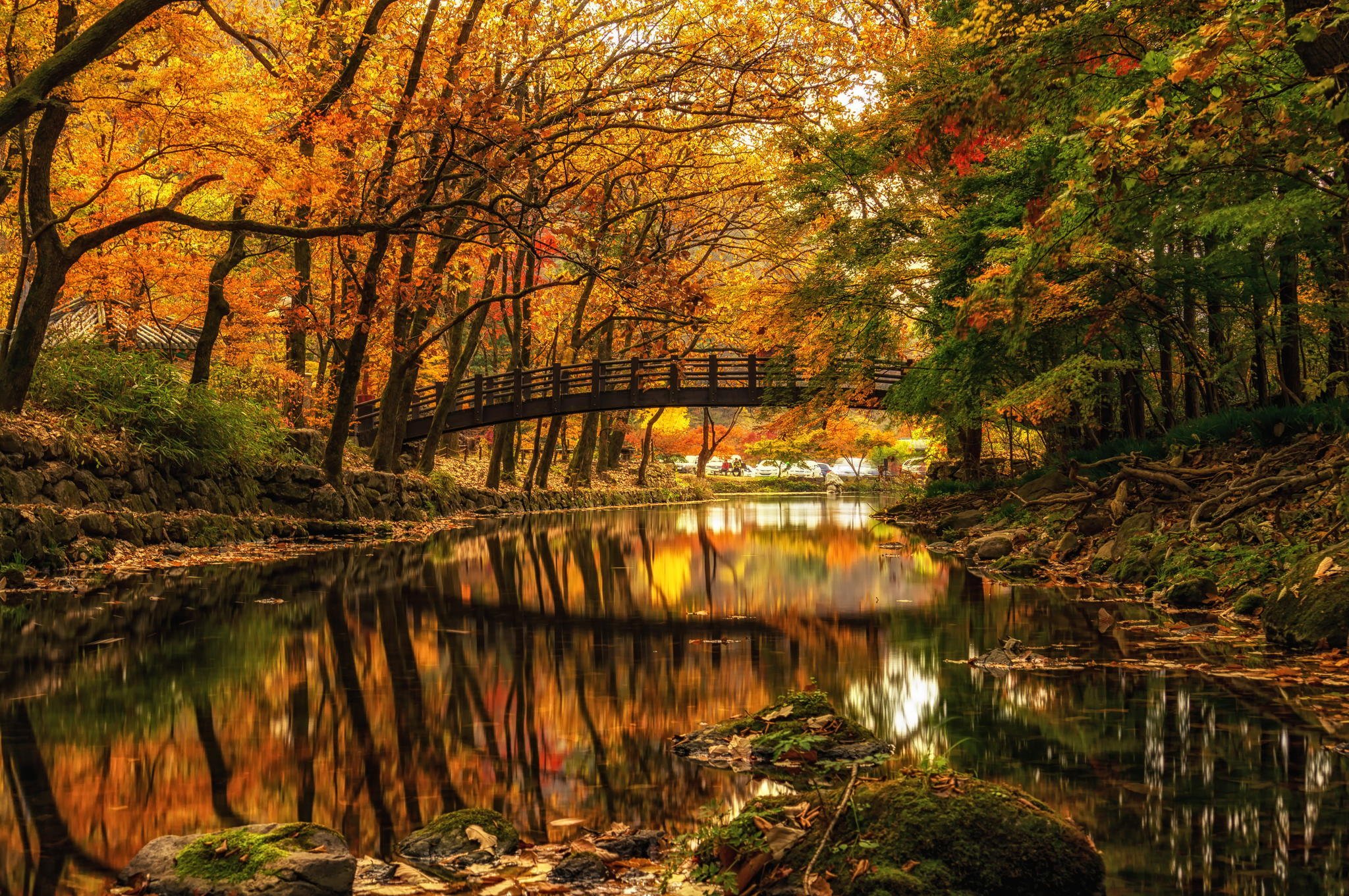 autumn, River, Bridge, Park, Trees Wallpaper