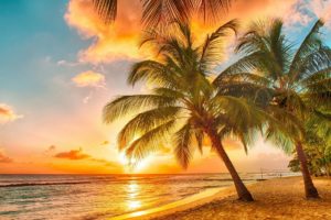 beach, Palm, Trees, Tropical, Sunset