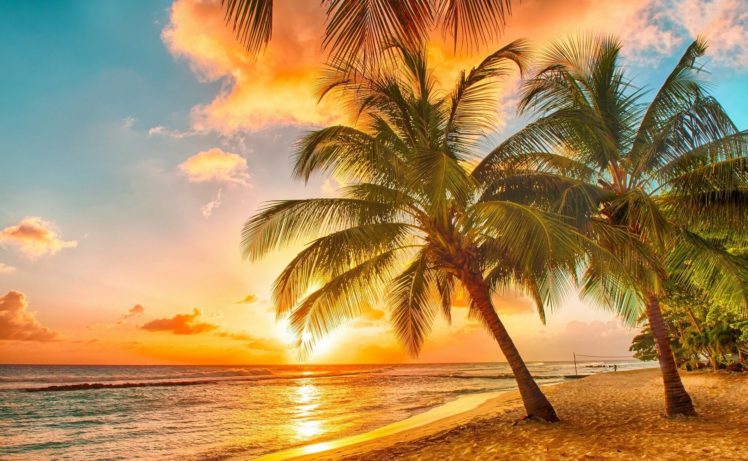 beach, Palm, Trees, Tropical, Sunset HD Wallpaper Desktop Background