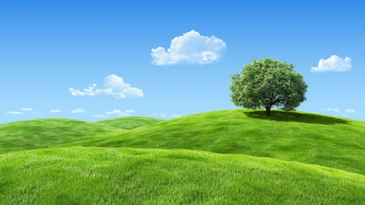 field, Hills, Tree, Nature HD Wallpaper Desktop Background