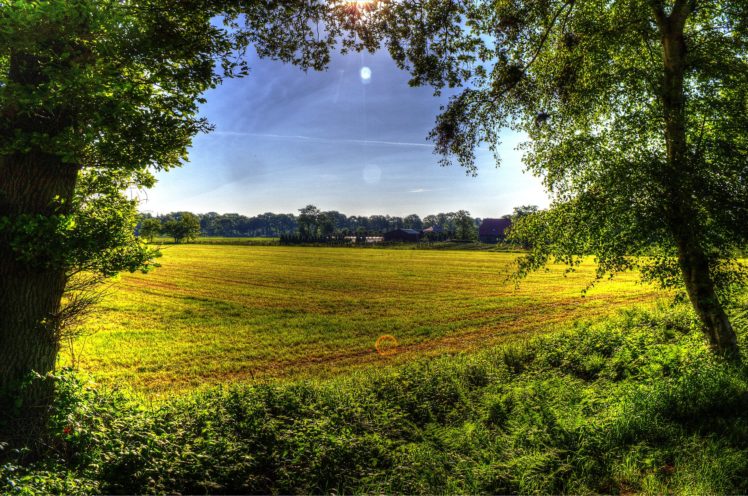 field, Trees, Nature, Landscape, Farm, Rustic HD Wallpaper Desktop Background