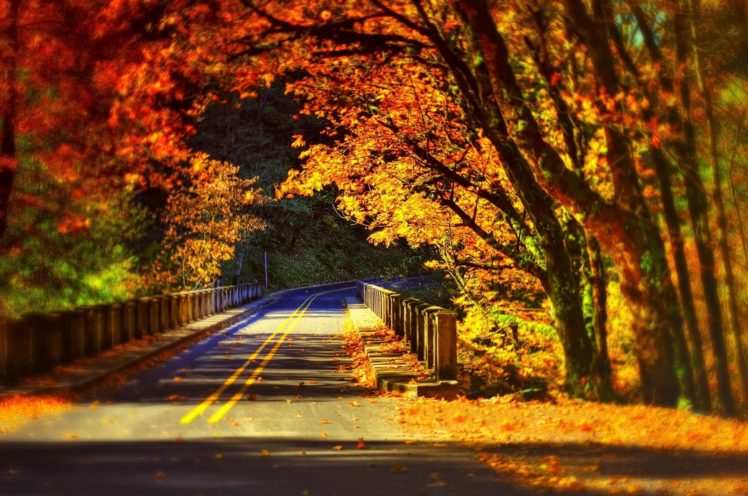 leaves, Fall, Colorful, Autumn, Road, Bridge HD Wallpaper Desktop Background