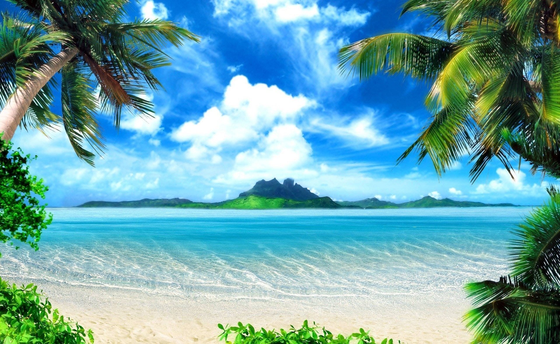 palm, Trees, Tropical, Beach, Sea, Island Wallpaper