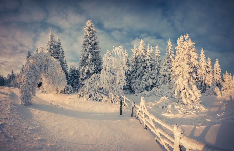 seasons, Winter, Snow, Fir, Nature, Fence HD Wallpaper Desktop Background