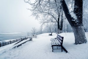 seasons, Winter, Snow, Bench, Trunk, Tree, Nature