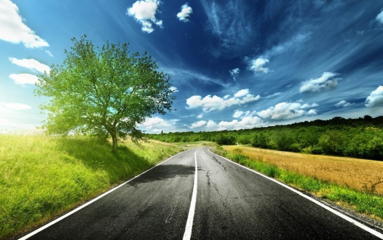 road, Field, Trees, Landscape HD Wallpaper Desktop Background