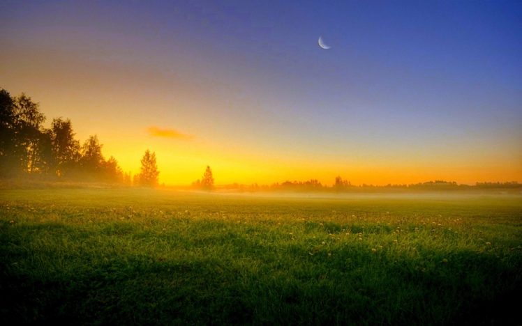 sky, Sun, Sunset, Moon, Night, Trees, Field, Grass, Fog, Nature, Landscape HD Wallpaper Desktop Background