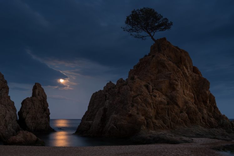 tossa, De, Mar, Costa, Brava, Spain, Spain, Night, Moon, Moonlight, Rocks, Sea, Beach, Tree, Landscape, Nature HD Wallpaper Desktop Background