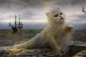 cats, Waves, Creative, Fantasy, Animals, Artwork, Painting, Photoshop, Ocean, Sea, Digital, Art