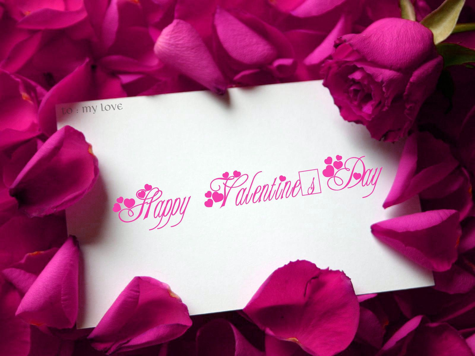 valentines, Day, Holiday, Mood, Love Wallpaper