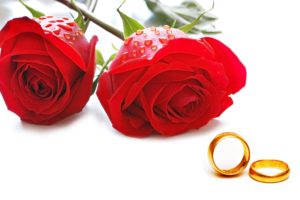 flowers, Roses, Red, Love, Couple, Marriage, Rings, Engagement, Golden, Romantice
