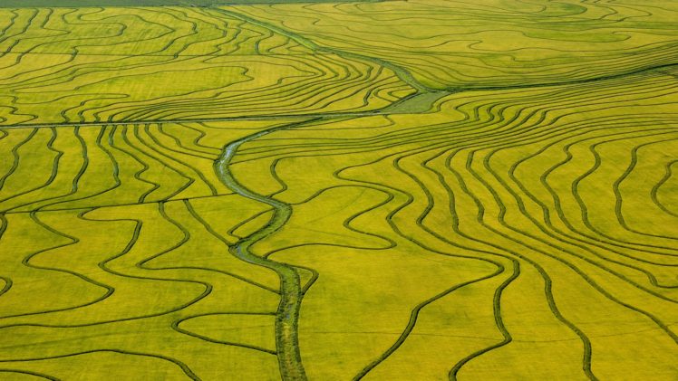 fields, Rice, Aerial, Uruguay HD Wallpaper Desktop Background