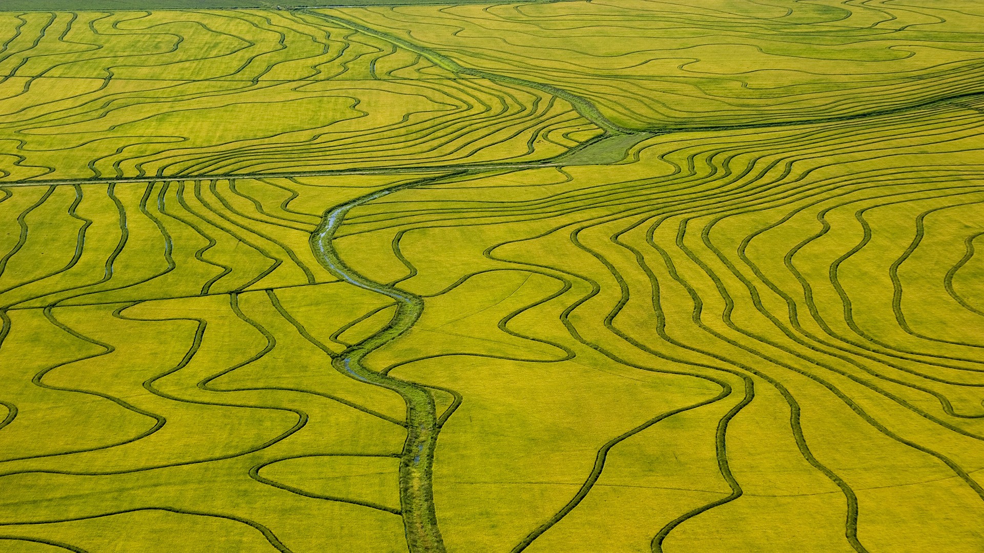 fields, Rice, Aerial, Uruguay Wallpaper