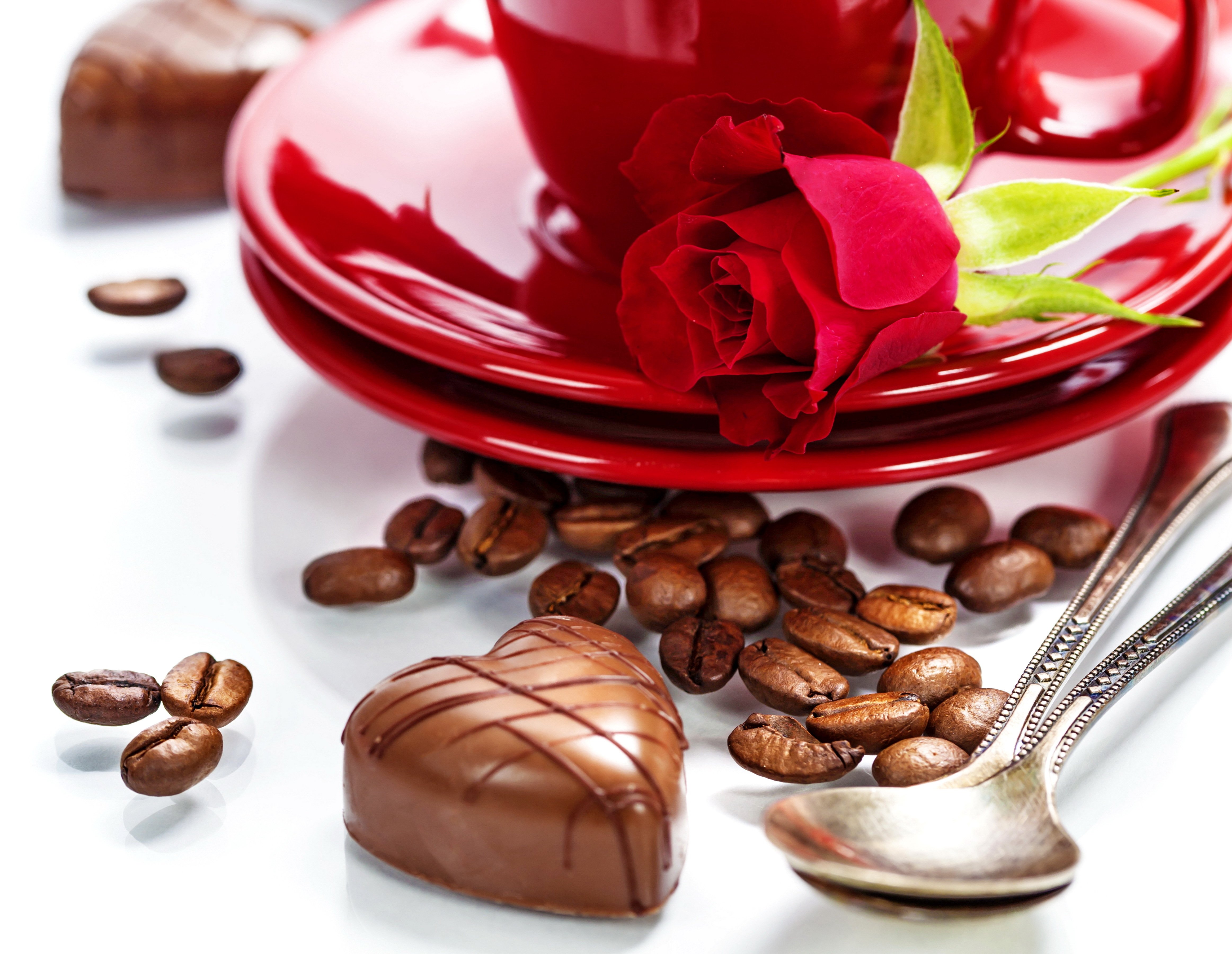 rose, Flowers, Coffee, Red, Love, Romance, Life, For, Chocolate, Gift, Couple Wallpaper