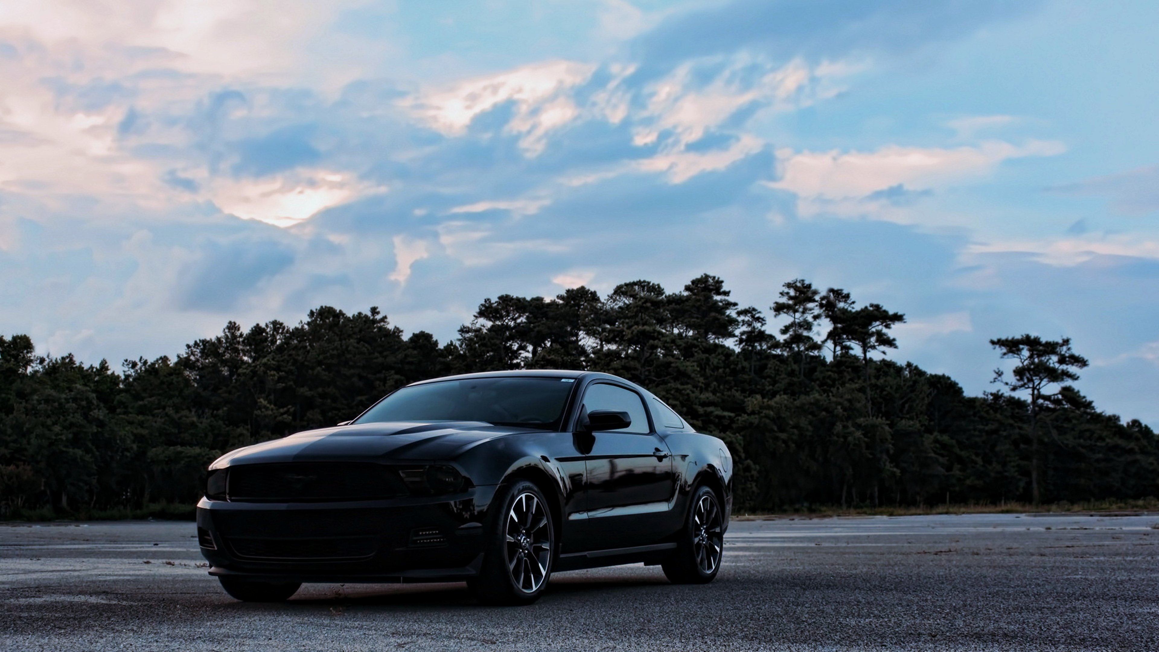 ford, Mustang, Black, Road, Force, Speed, Motors, Race, Forest, Cloud