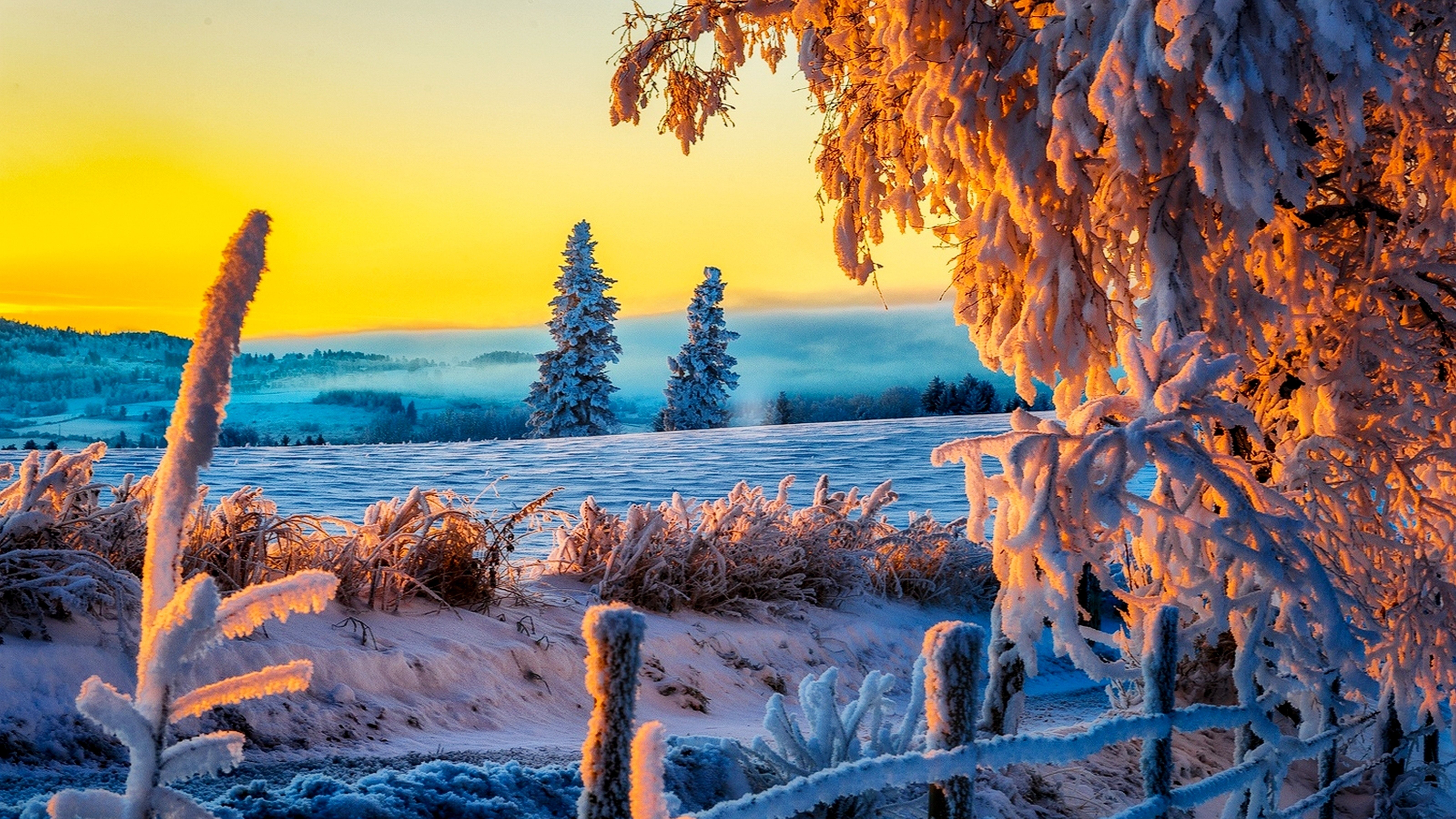 sky, Sunset, Landscape, Nice, Nature, Winter, Ice, Frost Wallpaper