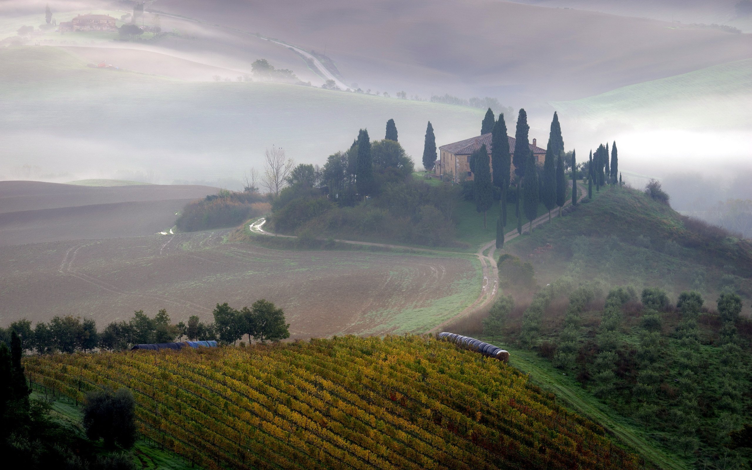 tuscany, Fog, Field, Morning, Landscape, Farm, Italy Wallpaper