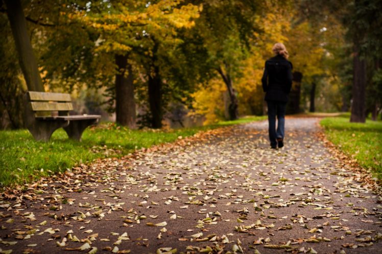 photo, Original, Forest, Autumn, Woman, Mood, Leaf, Tree, Road HD Wallpaper Desktop Background