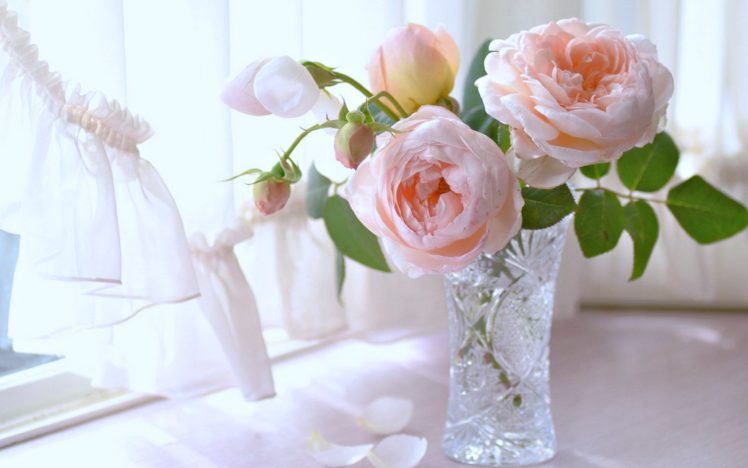 flowers, Roses, Vase, Windows, Curtains, Houses, Woman, Relax, Love, Romantice HD Wallpaper Desktop Background