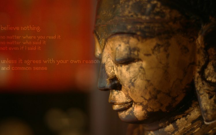 quotes, Buddha HD Wallpaper Desktop Background