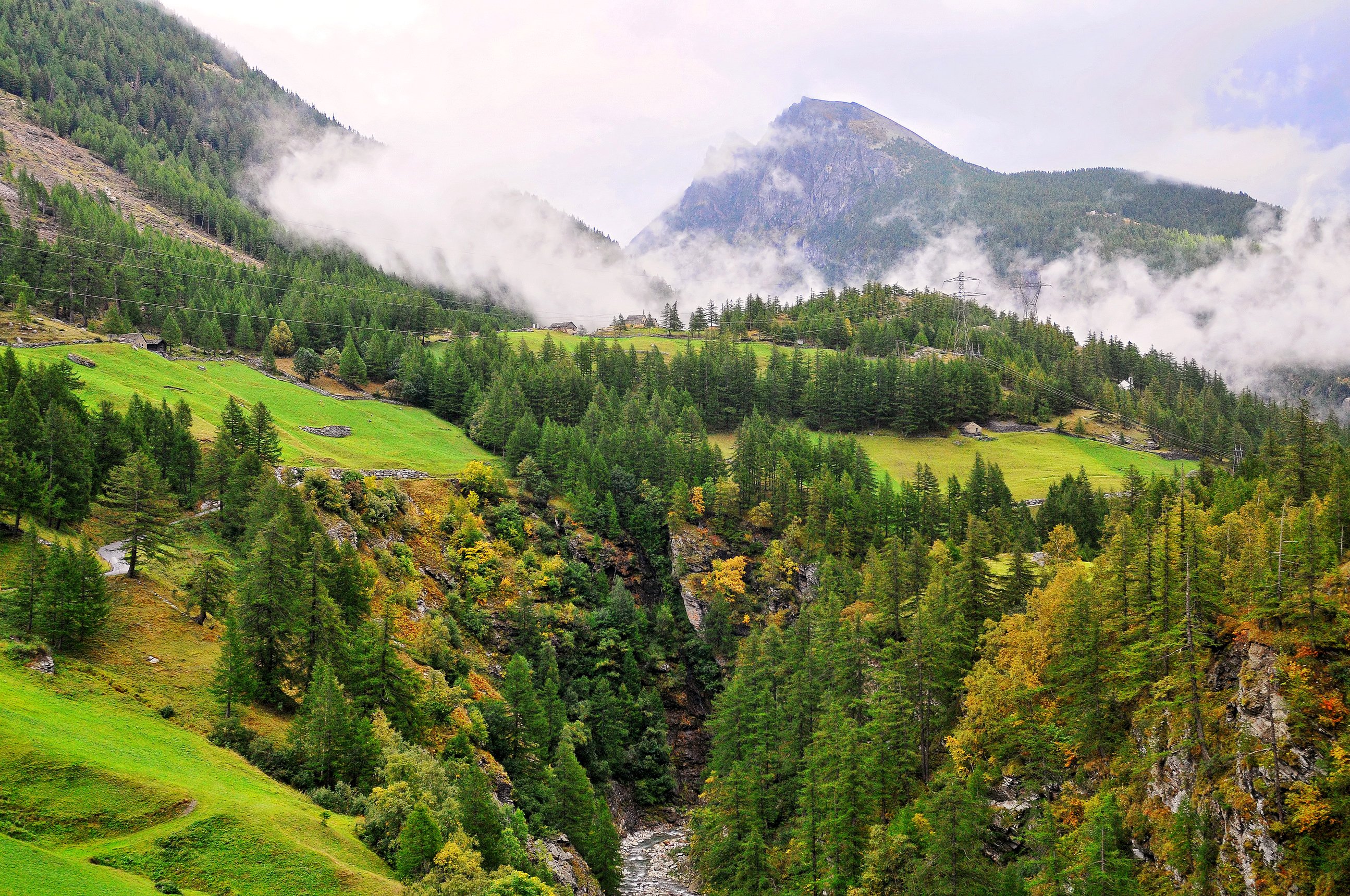 Scenery Switzerland Mountains Forests Grasslands Nature Autumn