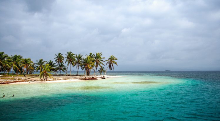 shore, Palm, Trees, Sea, Panama, Tropical HD Wallpaper Desktop Background