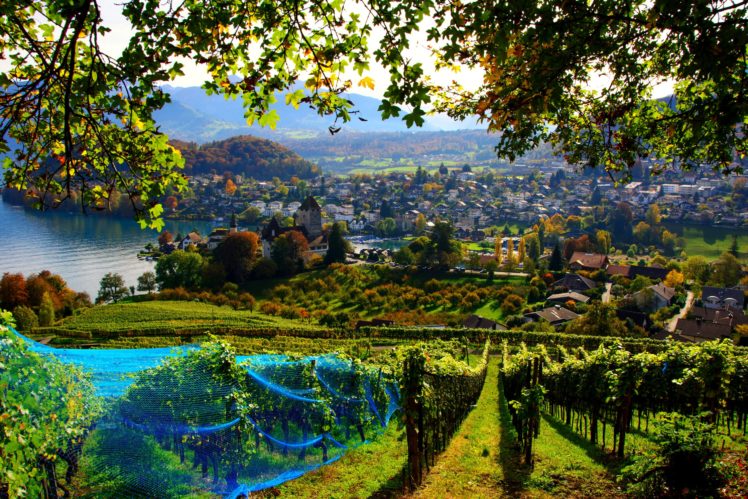 switzerland, House, Fields, Spiez, Cities, Autumn HD Wallpaper Desktop Background