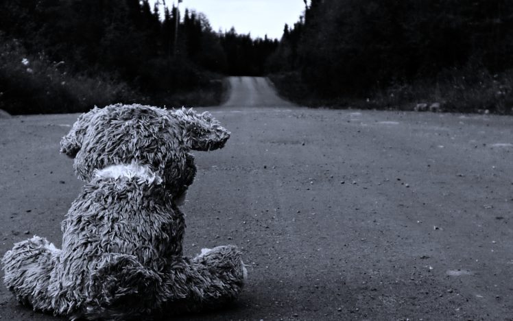 sad, Roads, Stuffed, Animals, Monochrome, Teddy, Bears, Blackandwhite, Landscape, Forest, Lonely, Quiet HD Wallpaper Desktop Background